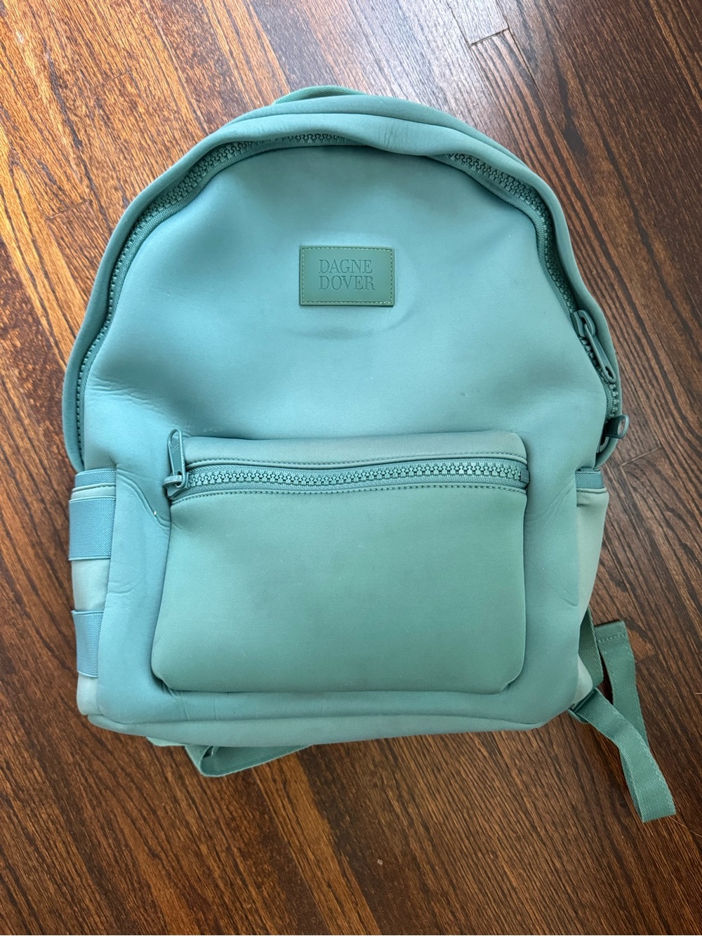 Dagne Dover Mint Green Everyday Backpack